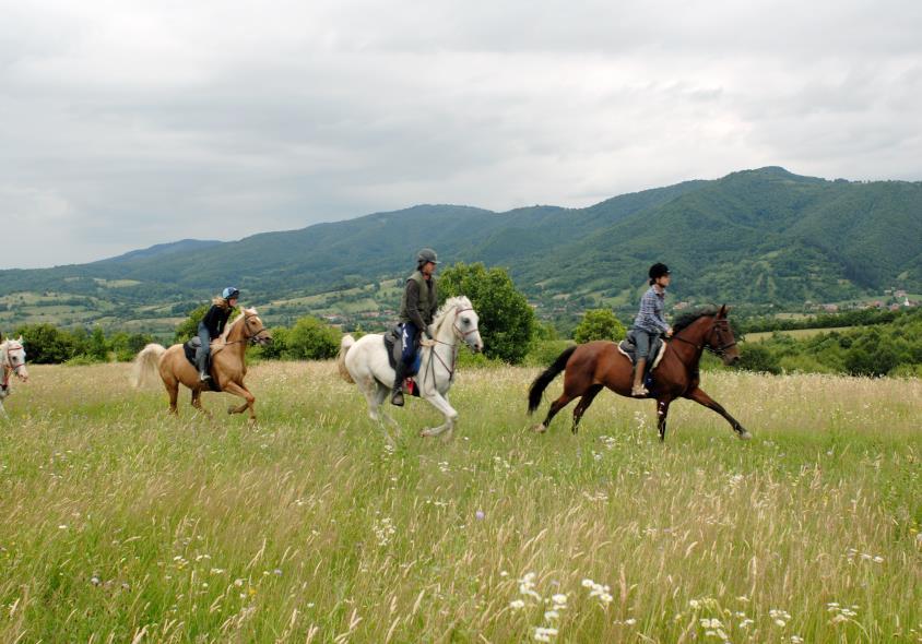 Carpathia Gourmet Ride - horseXperiences™ GO EQUESTRIAN