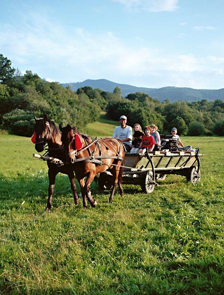 Countryside & Wilderness Xperience - horseXperiences™ GO EQUESTRIAN
