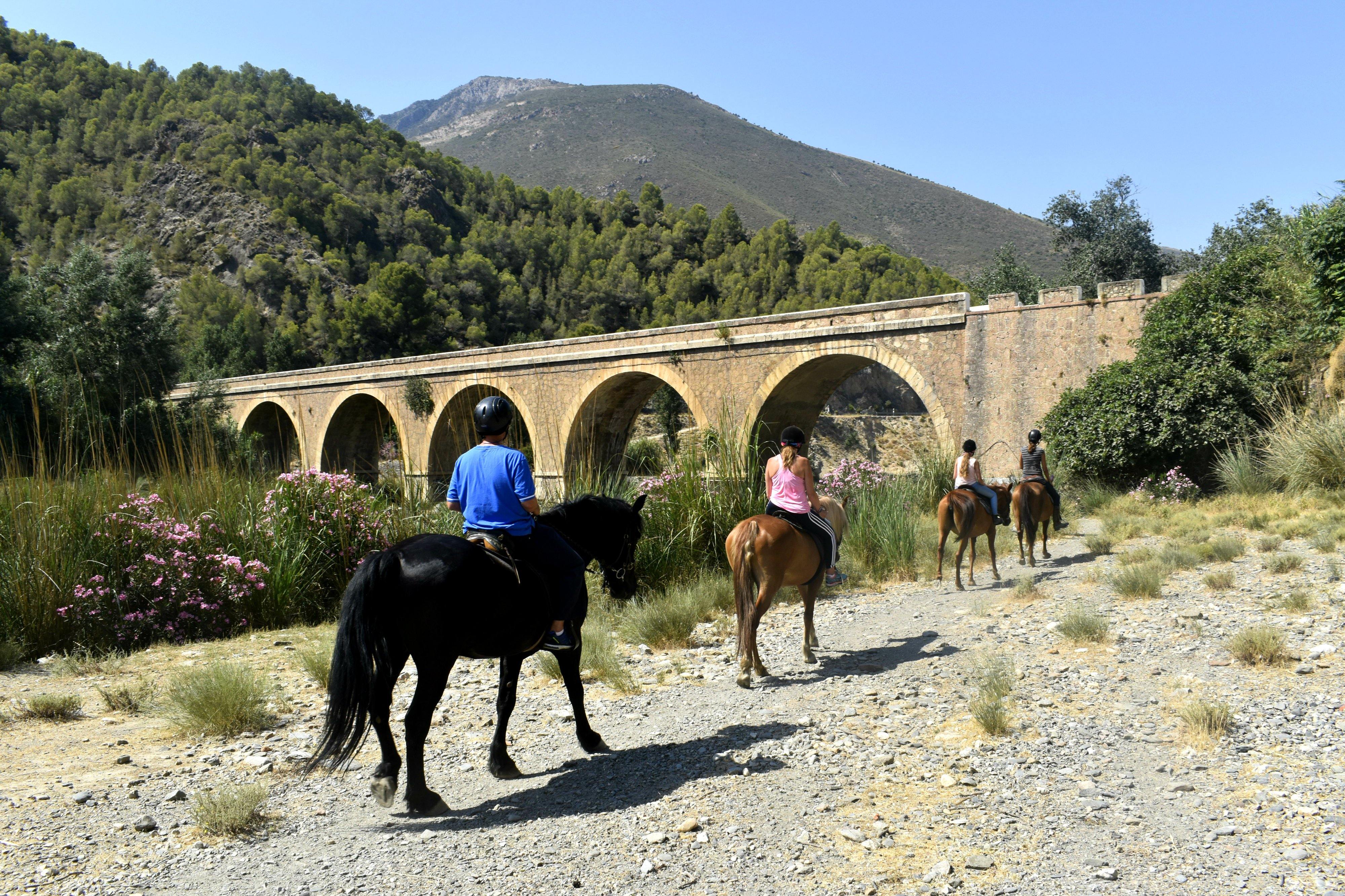 Andalusian Rural Luxury - horseXperiences™ GO EQUESTRIAN