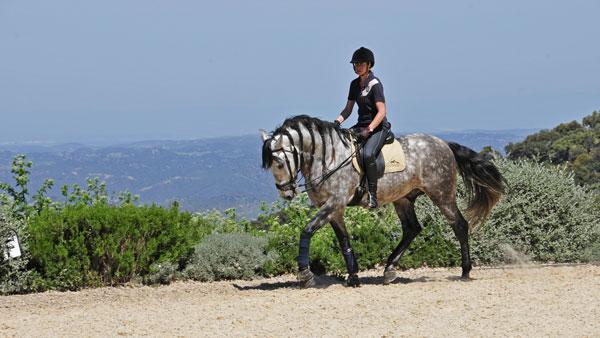 Málaga's eXclusive Eco-Luxury - horseXperiences™ GO EQUESTRIAN