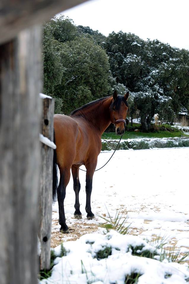 Málaga's eXclusive Eco-Luxury - horseXperiences™ GO EQUESTRIAN