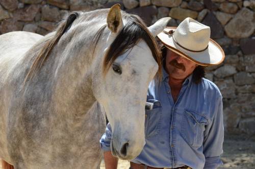 Málaga's eXclusive Eco-Luxury - horseXperiences™ GO EQUESTRIAN