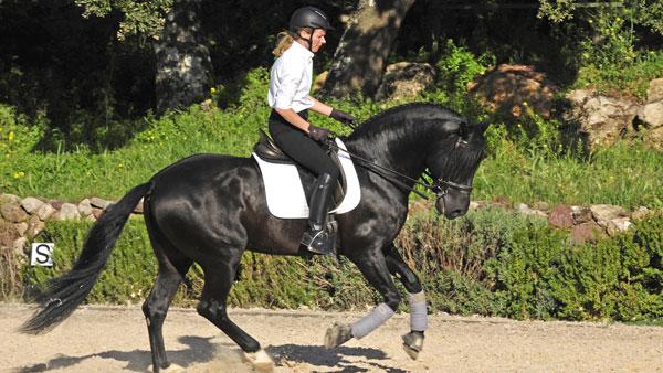 Málaga's eXclusive Eco-Luxury - horseXperiences™ GO EQUESTRIAN