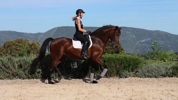 Málaga's eXclusive Eco-Luxury - horseXperiences™ GO EQUESTRIAN