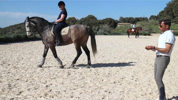 Málaga's eXclusive Eco-Luxury - horseXperiences™ GO EQUESTRIAN