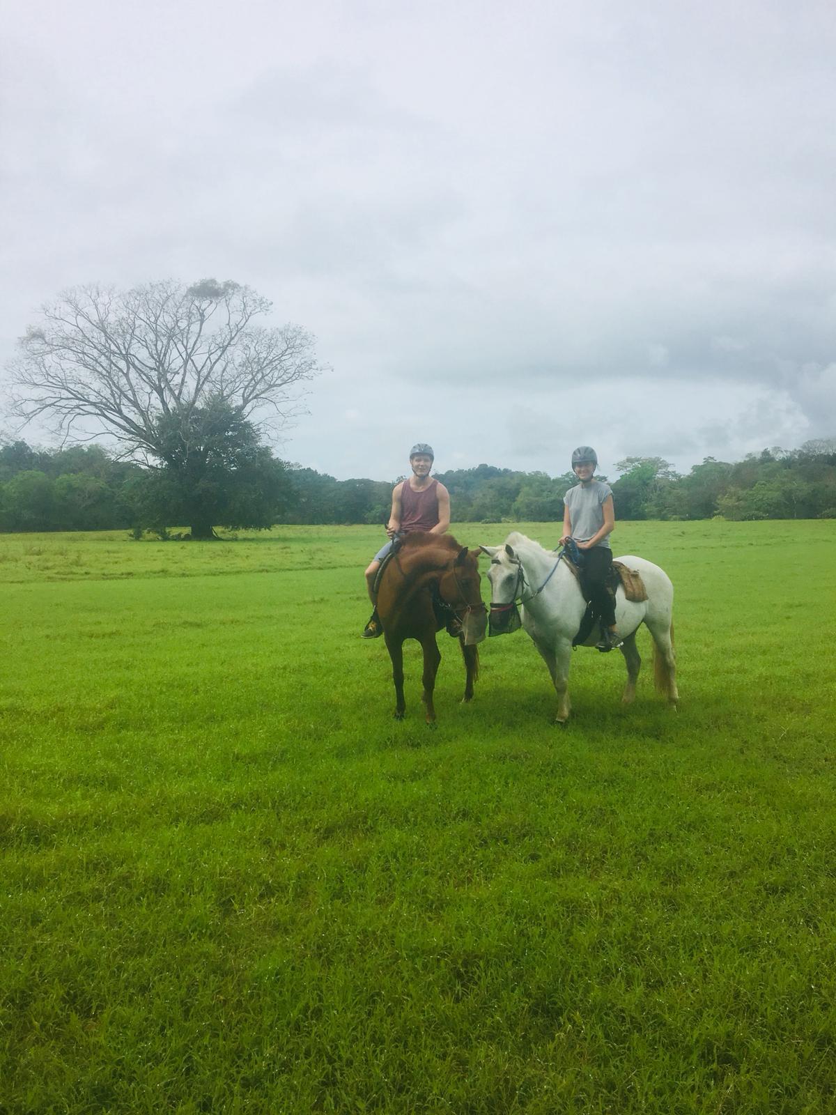 Tropical Discovery - horseXperiences™ GO EQUESTRIAN