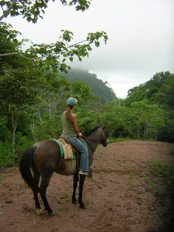 Tropical Discovery - horseXperiences™ GO EQUESTRIAN
