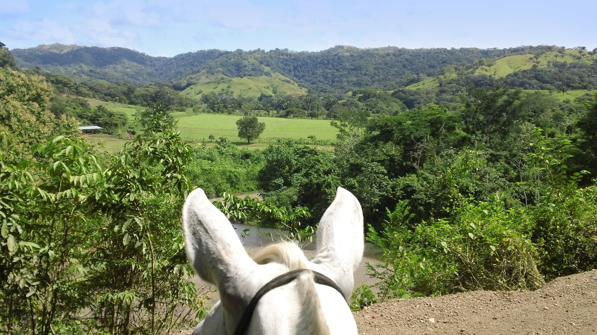 Tropical Discovery - horseXperiences™ GO EQUESTRIAN