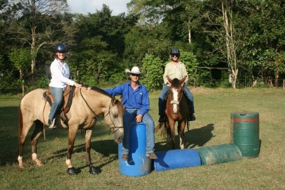 Tropical Discovery - horseXperiences™ GO EQUESTRIAN