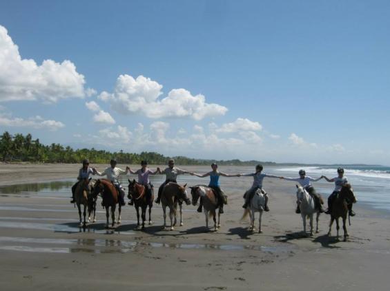 Tropical Discovery - horseXperiences™ GO EQUESTRIAN