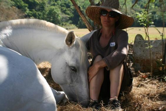 Tropical Discovery - horseXperiences™ GO EQUESTRIAN