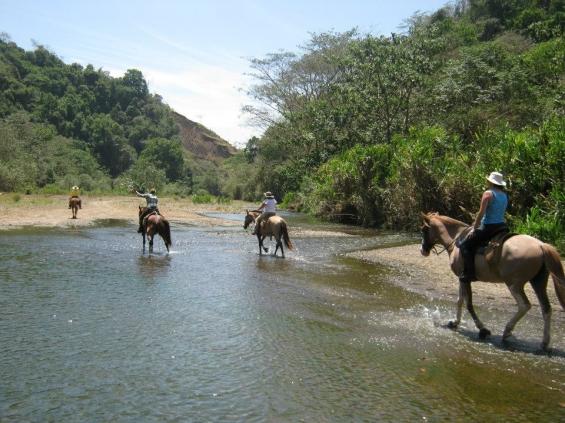 Tropical Discovery - horseXperiences™ GO EQUESTRIAN