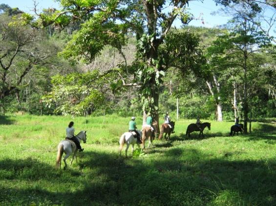 Tropical Discovery - horseXperiences™ GO EQUESTRIAN