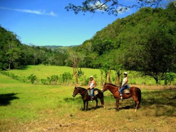 Tropical Discovery - horseXperiences™ GO EQUESTRIAN