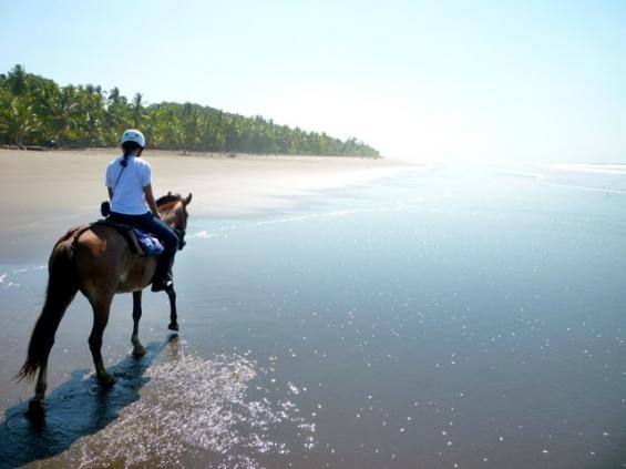 Tropical Discovery - horseXperiences™ GO EQUESTRIAN