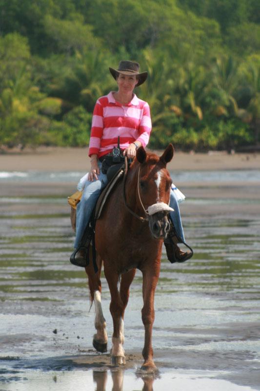 Tropical Discovery - horseXperiences™ GO EQUESTRIAN