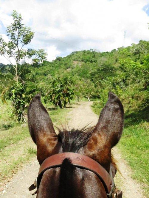 Tropical Discovery - horseXperiences™ GO EQUESTRIAN