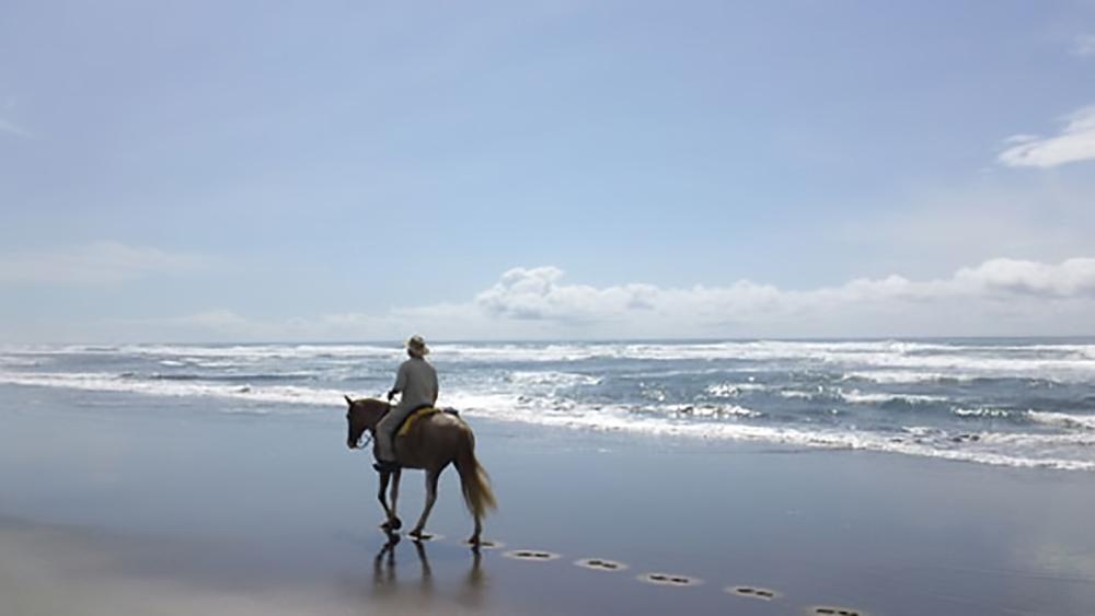 Tropical Discovery - horseXperiences™ GO EQUESTRIAN