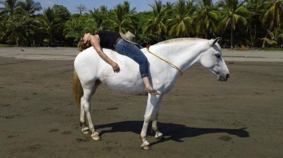 Tropical Exhale - horseXperiences™ GO EQUESTRIAN