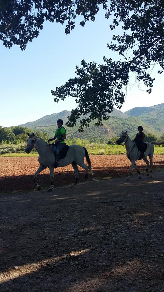 A Taste of Endurance - horseXperiences™ GO EQUESTRIAN