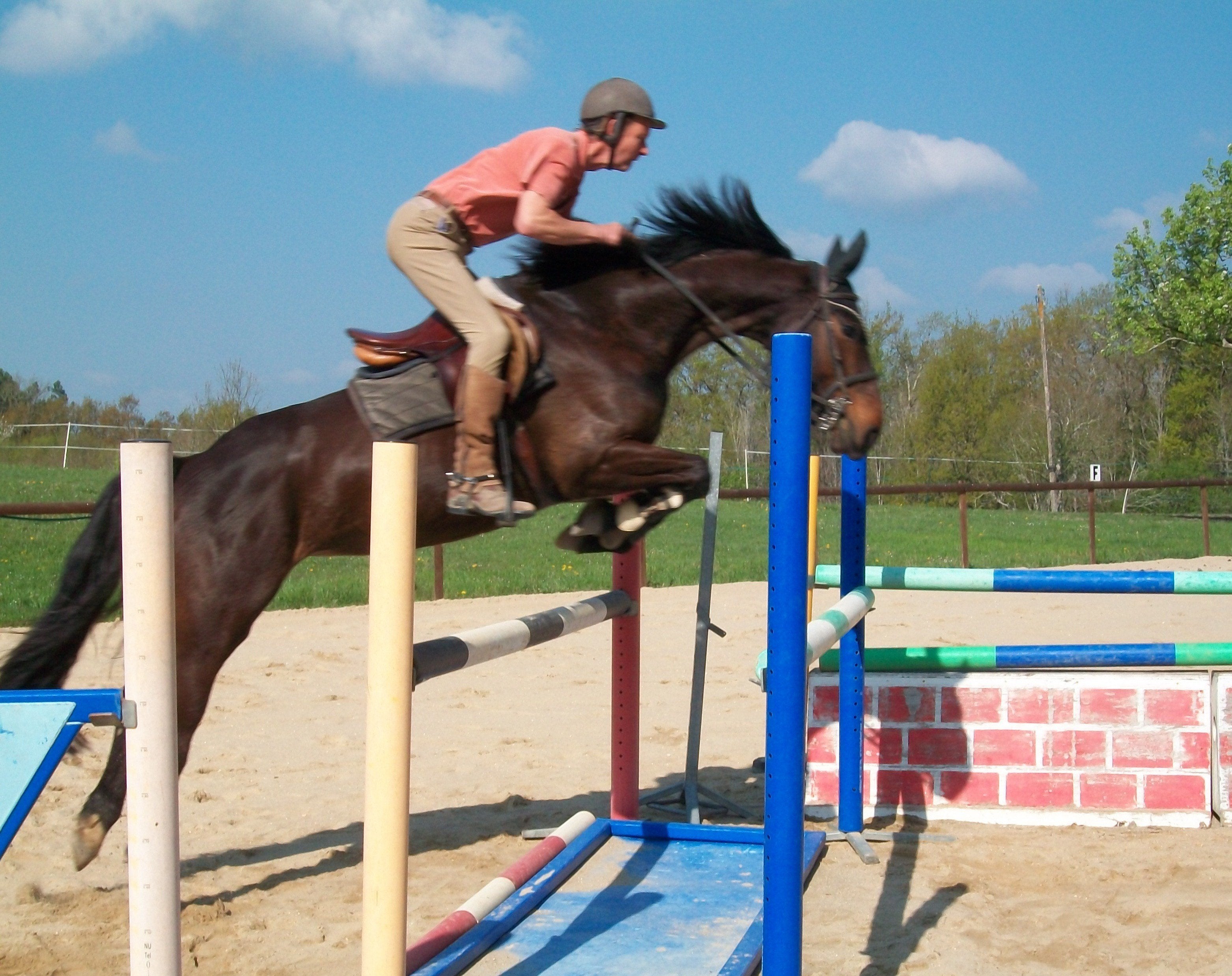 French Sport Training eXperience - horseXperiences™ GO EQUESTRIAN