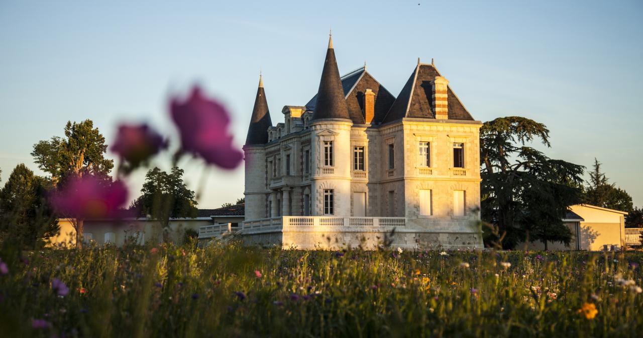 French Sport Training eXperience - horseXperiences™ GO EQUESTRIAN
