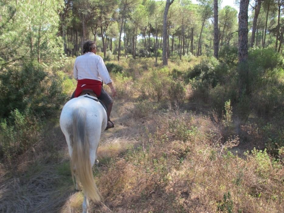 The Taste of Andalucia - horseXperiences™ GO EQUESTRIAN