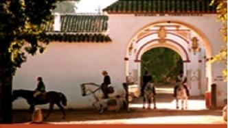 The Taste of Andalucia - horseXperiences™ GO EQUESTRIAN