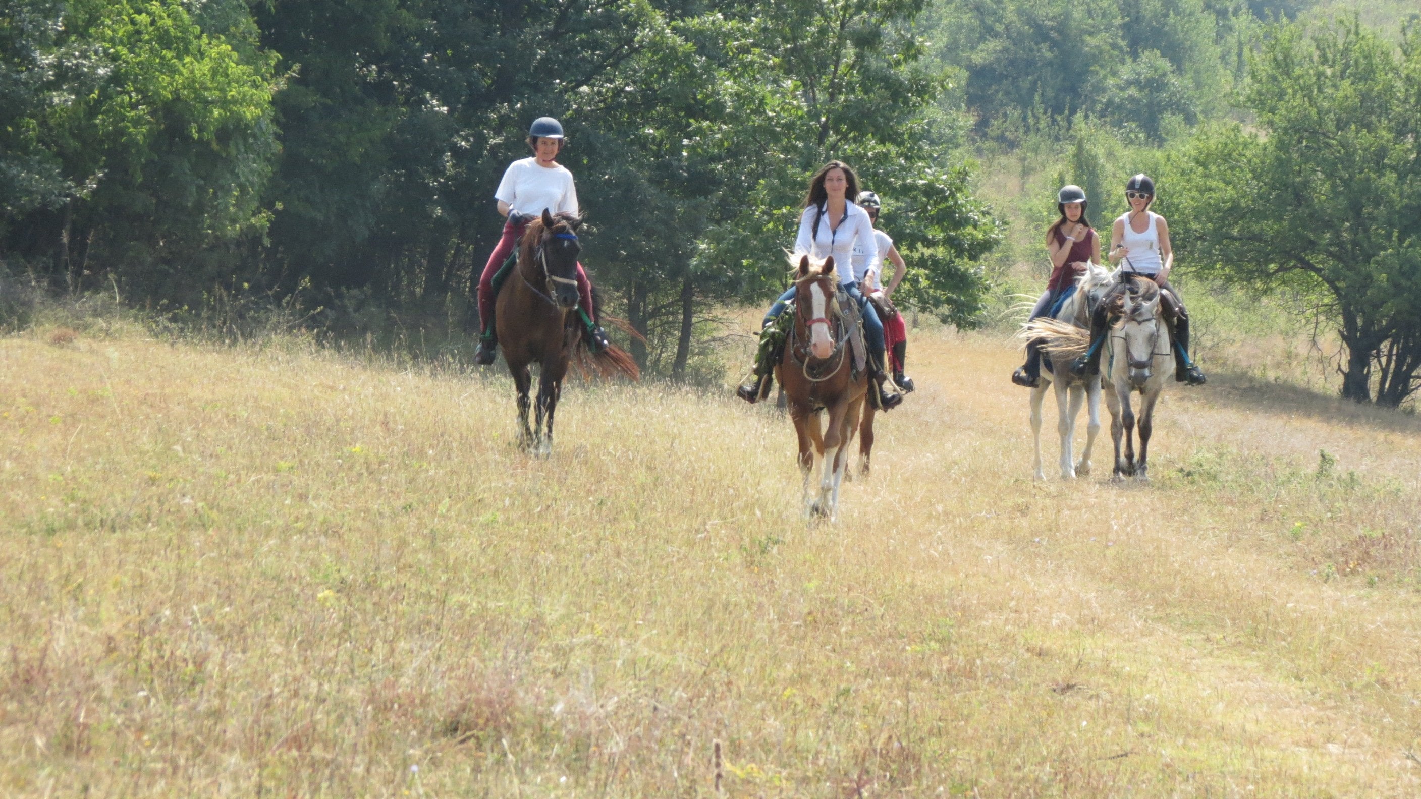 Central Balkan National Park - horseXperiences™ GO EQUESTRIAN