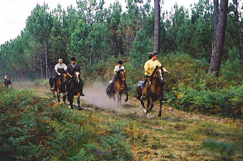 Charming & Peacefull Armagnac - horseXperiences™ GO EQUESTRIAN