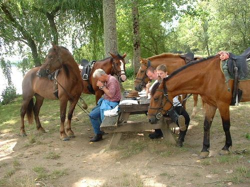 Charming & Peacefull Armagnac - horseXperiences™ GO EQUESTRIAN