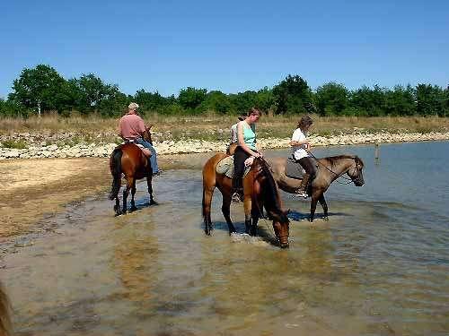 Charming & Peacefull Armagnac - horseXperiences™ GO EQUESTRIAN