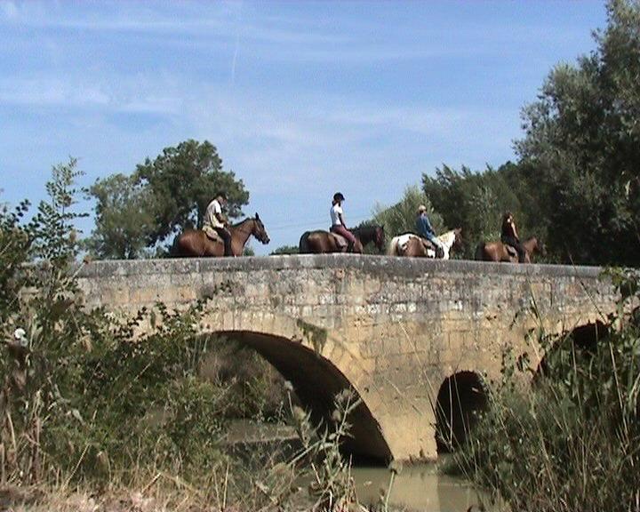 Charming & Peacefull Armagnac - horseXperiences™ GO EQUESTRIAN