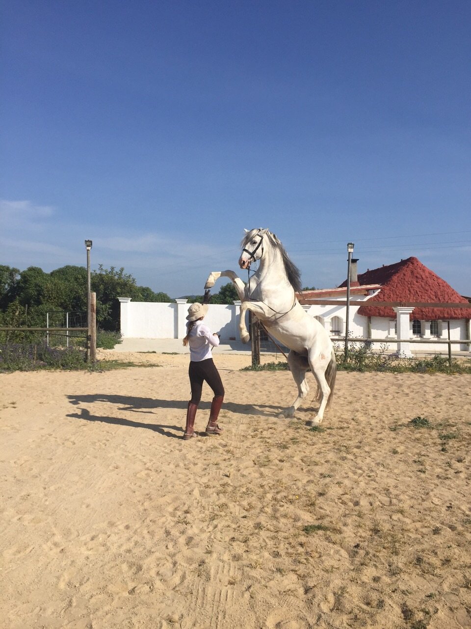 Spanish Beaches & Horses - horseXperiences™ GO EQUESTRIAN