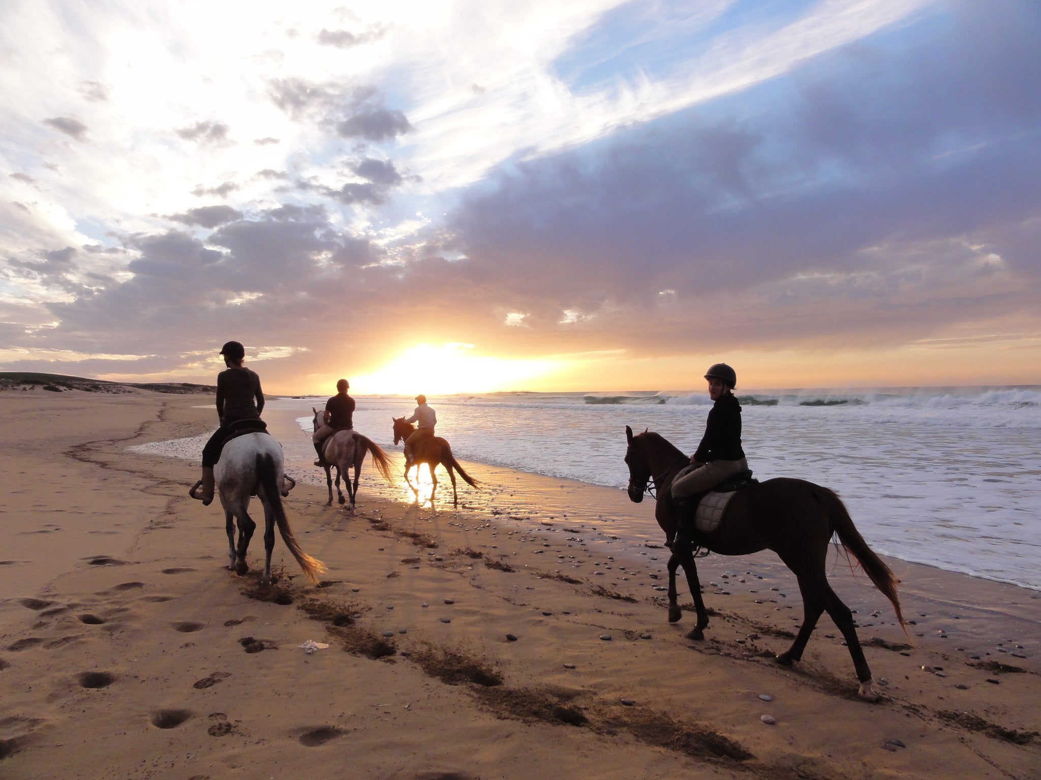 Big South Beaches - horseXperiences™ GO EQUESTRIAN