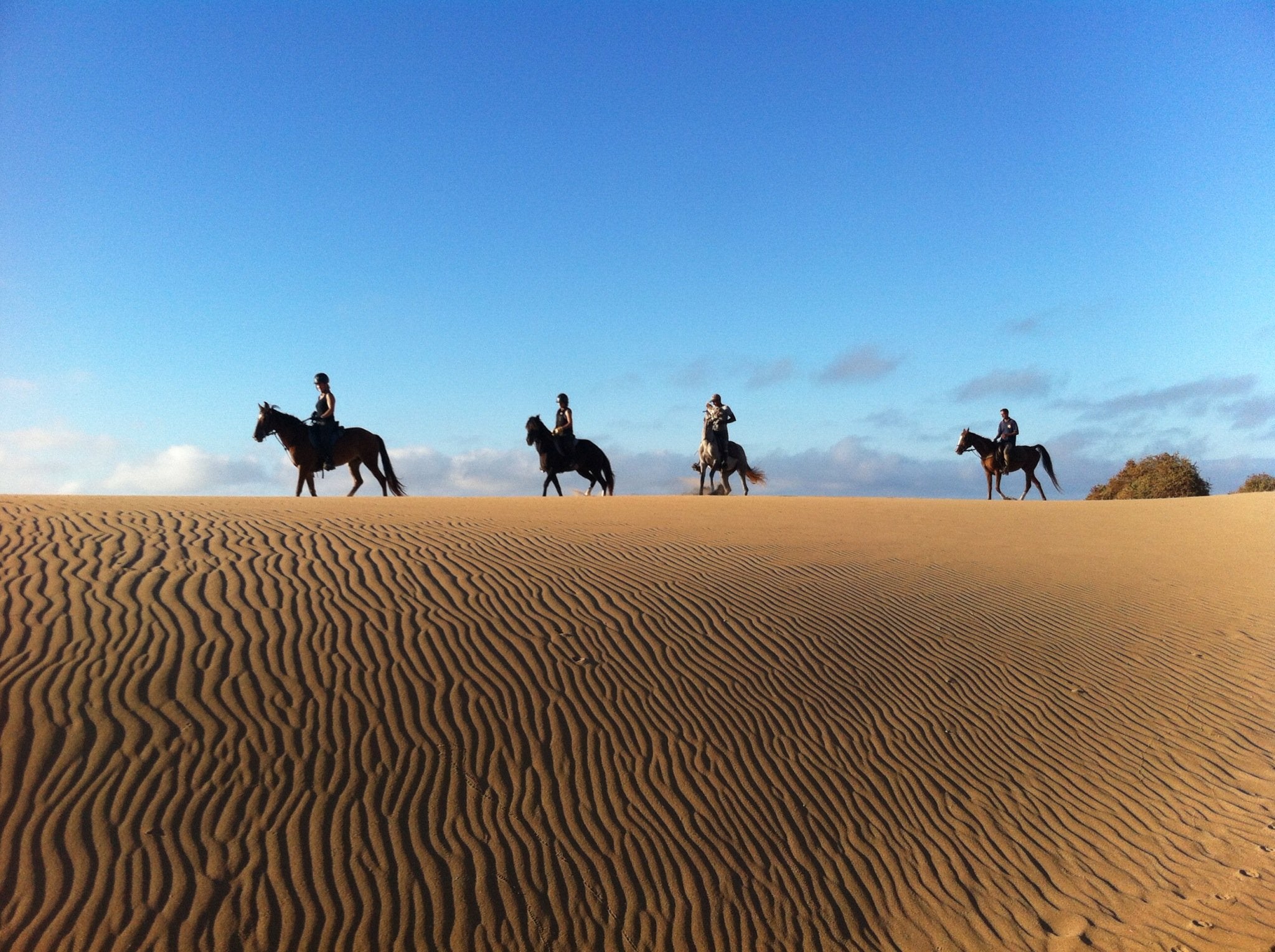 Sea, Mountain & Desert - horseXperiences™ GO EQUESTRIAN