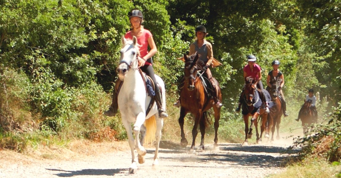 Italian Haven - horseXperiences™ GO EQUESTRIAN