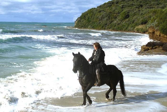 Italian Haven - horseXperiences™ GO EQUESTRIAN