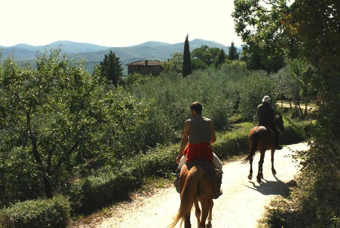 Italian Haven - horseXperiences™ GO EQUESTRIAN