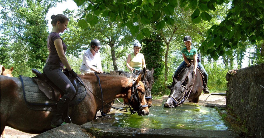 Italian Haven - horseXperiences™ GO EQUESTRIAN