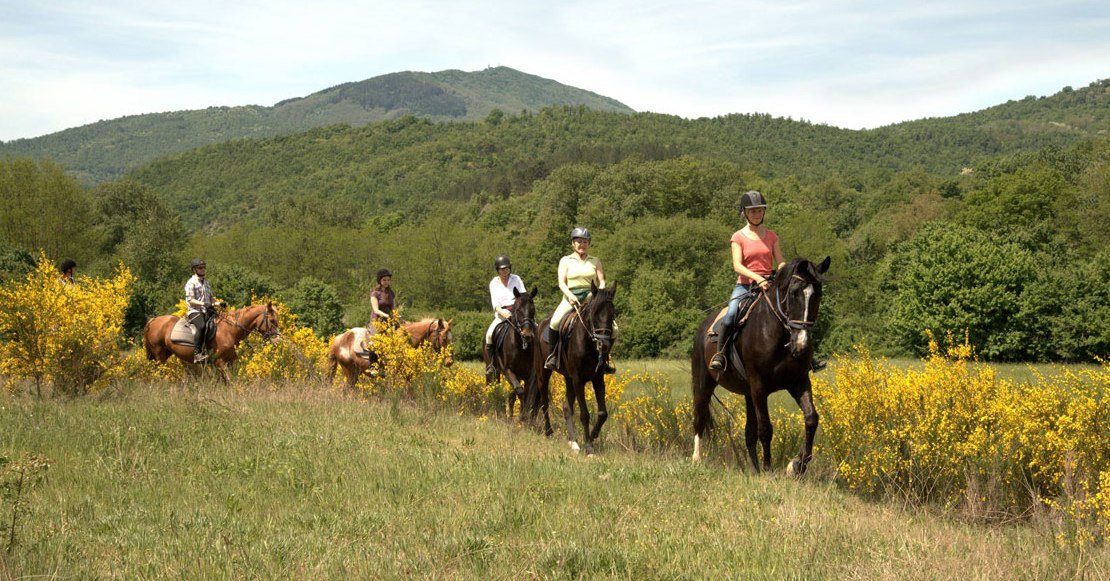 Italian Haven - horseXperiences™ GO EQUESTRIAN