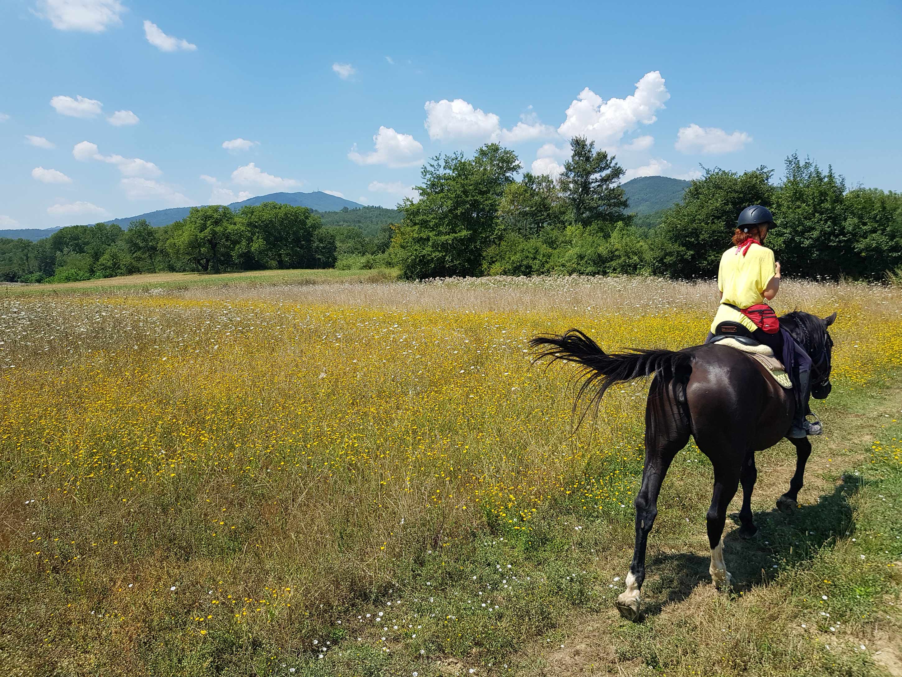 Italian Haven - horseXperiences™ GO EQUESTRIAN