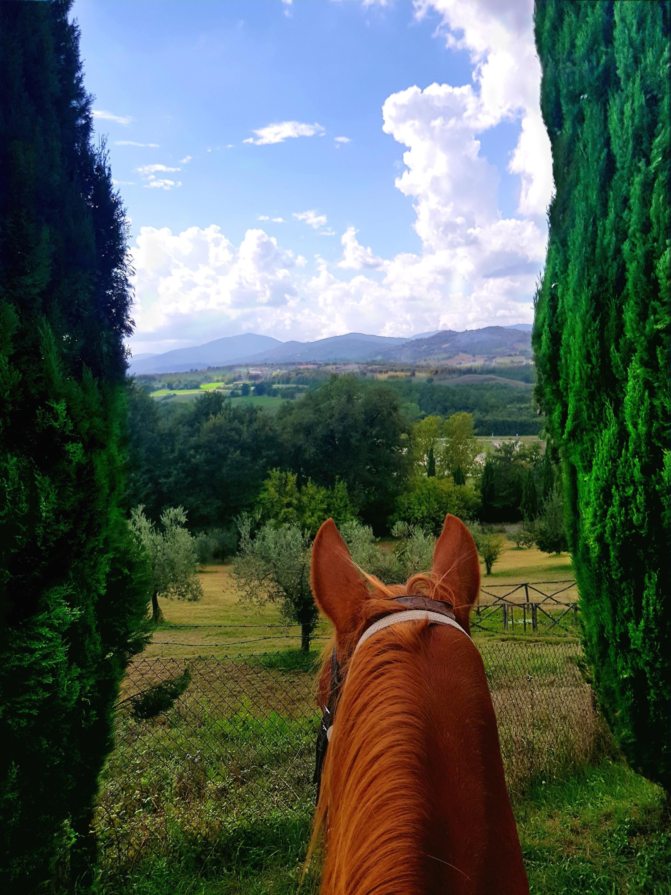 Italian Haven - horseXperiences™ GO EQUESTRIAN