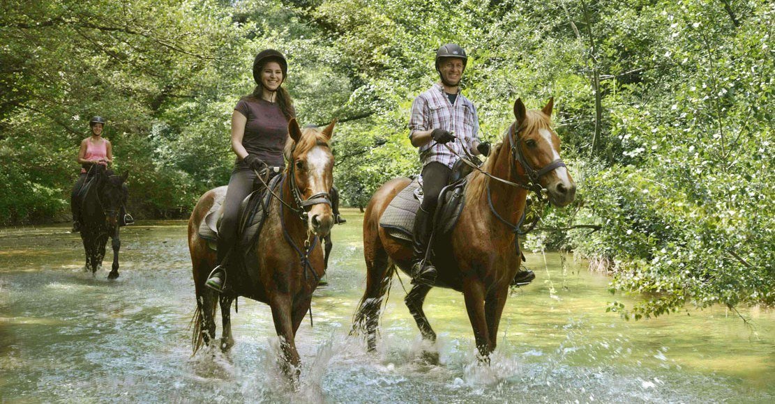 Italian Haven - horseXperiences™ GO EQUESTRIAN